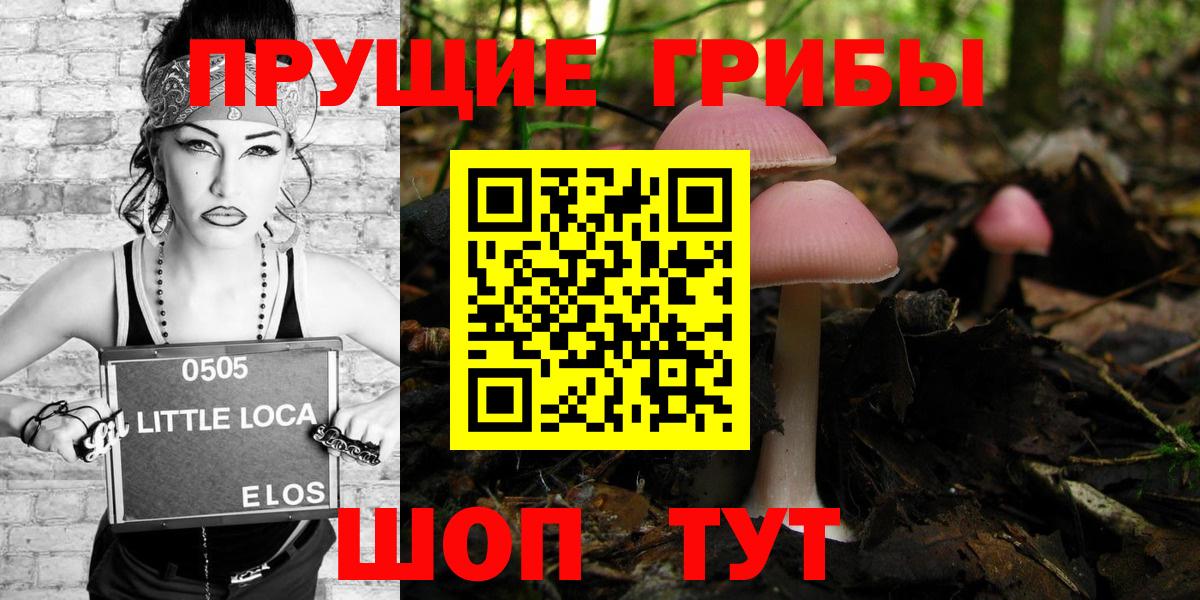 Бузулук  Псилоцибиновые грибы Psilocybe  где можно купить   Галлюциногенные грибы Psilocybe  Вход с VPN 