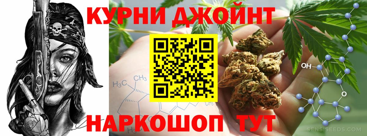 Конопля гибрид Бузулук